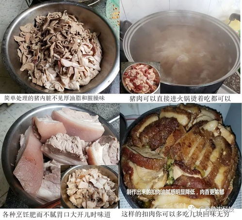 高品质肉猪是什么样的 大量供应长期运用益生菌 中草药无抗生素残留的土味十足肉猪