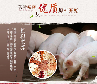 【御达祥】生态散养笨猪肉礼盒猪