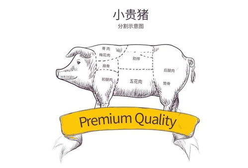 全台州人的福利 省省省省省钱大招 再也不用进超市买菜了,动动手指,就能送货上门